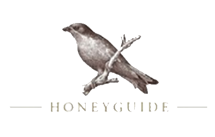 honeyguide